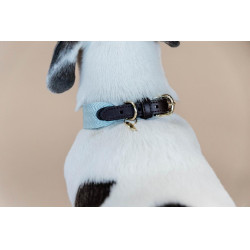 Collier pour chien Jacquard Kentucky Bleu clair Collier pour chien Jacquard Kentucky Bleu clair