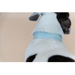 Collier pour chien Jacquard Kentucky Bleu clair Collier pour chien Jacquard Kentucky Bleu clair