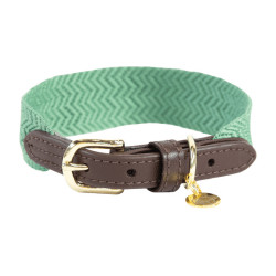 Collier pour chien Jacquard Kentucky Vert olive Collier pour chien Jacquard Kentucky Vert olive
