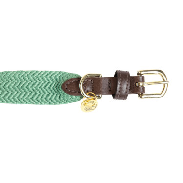 Halsband voor honden Jacquard Kentucky Olijfgroen