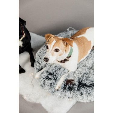 Halsband voor honden Jacquard Kentucky Olijfgroen