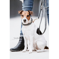 Hondenhalsband Pied-de-poule Kentucky Zwart Hondenhalsband Pied-de-poule Kentucky Zwart