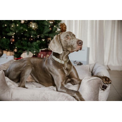 Collier pour chien Pied-de-poule Kentucky Beige Collier pour chien Pied-de-poule Kentucky Beige