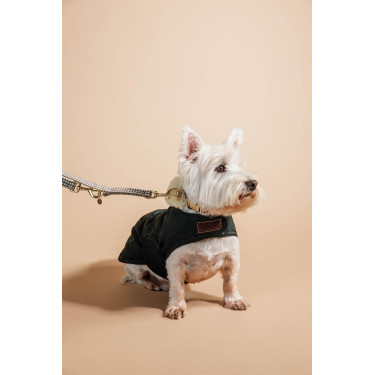 Collier pour chien Pied-de-poule Kentucky Beige Collier pour chien Pied-de-poule Kentucky Beige