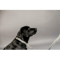Hondenhalsband Pied-de-poule Kentucky Zwart