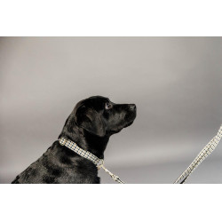 Hondenhalsband Pied-de-poule Kentucky Bruin Hondenhalsband Pied-de-poule Kentucky Bruin