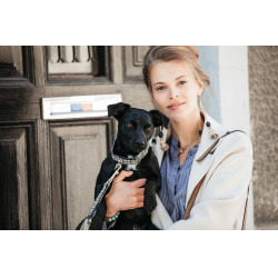 Hondenhalsband Pied-de-poule Kentucky Bruin Hondenhalsband Pied-de-poule Kentucky Bruin