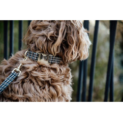 Collier pour chien Pied-de-poule Kentucky Brun Marron