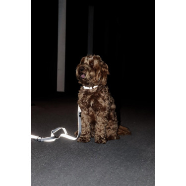 Halsband voor hond Reflecterend Kentucky Zilver