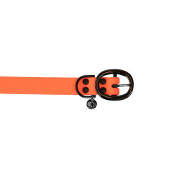 Collier pour chien Soft Rubber Kentucky Neon orange