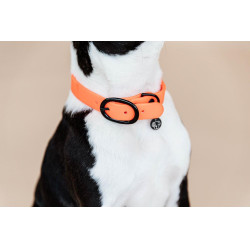 Collier pour chien Soft Rubber Kentucky Neon orange