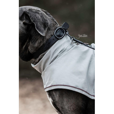 Halsband voor honden Soft Rubber Kentucky Zwart Halsband voor honden Soft Rubber Kentucky Zwart