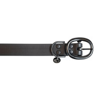 Halsband voor honden Soft Rubber Kentucky Neon oranje Halsband voor honden Soft Rubber Kentucky Neon oranje