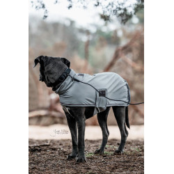 Collier pour chien Soft Rubber Kentucky Noir