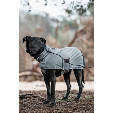 Halsband voor honden Soft Rubber Kentucky Zwart Halsband voor honden Soft Rubber Kentucky Zwart