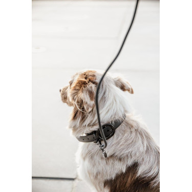 Halsband voor honden Soft Rubber Kentucky Zwart Halsband voor honden Soft Rubber Kentucky Zwart
