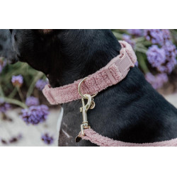 Collier pour chien Teddy Fleece Kentucky Vieux rose