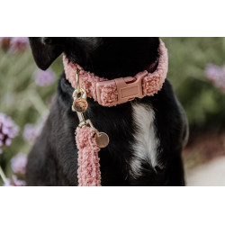 Collier pour chien Teddy Fleece Kentucky Vieux rose