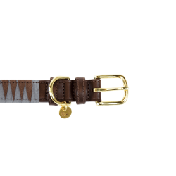 Collier pour chien Triangle Kentucky Marron