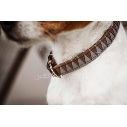 Collier pour chien Triangle Kentucky Marron