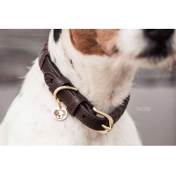 Collier pour chien Triangle Kentucky Marron