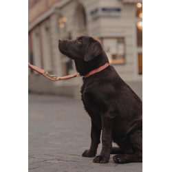 Collier pour chien Vegan Leather Kentucky Pêche Rose