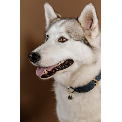 Halsband voor hond Vegan Leather Kentucky Marine Marineblauw