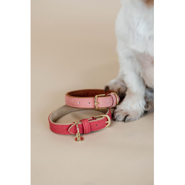 Collier pour chien Vegan Leather Kentucky Rouge Collier pour chien Vegan Leather Kentucky Rouge