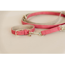 Collier pour chien Vegan Leather Kentucky Rouge Collier pour chien Vegan Leather Kentucky Rouge