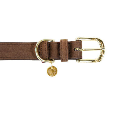 Collier pour chien Velvet Leather Kentucky Brun Marron