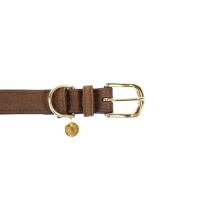 Halsband voor hond Velvet Leather Kentucky Bruin Halsband voor hond Velvet Leather Kentucky Bruin