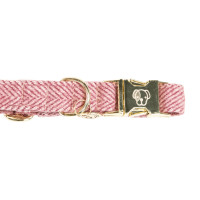 Collier pour chien Wool Kentucky Rose clair Collier pour chien Wool Kentucky Rose clair