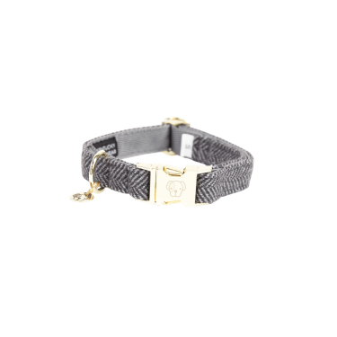 Collier pour chien Wool Kentucky Gris