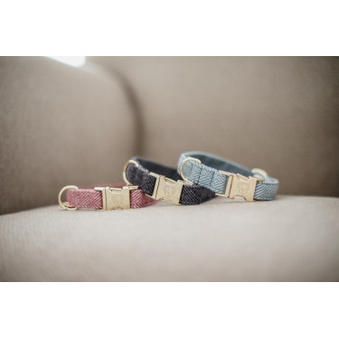 Collier pour chien Wool Kentucky Gris