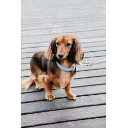 Hondenhalsband Wool Kentucky Lichtblauw