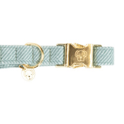 Collier pour chien Wool Kentucky Bleu clair
