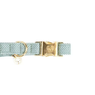 Collier pour chien Wool Kentucky Bleu clair