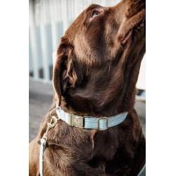 Collier pour chien Wool Kentucky Bleu clair