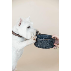 Gamelle pour chien en pierre Terrazzo Kentucky Noir