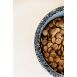 Hondenvoerbak van terrazzo-steen Kentucky Zwart