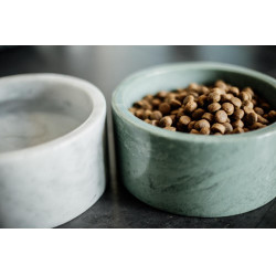 Gamelle pour chien Marbre Kentucky Vert sapin
