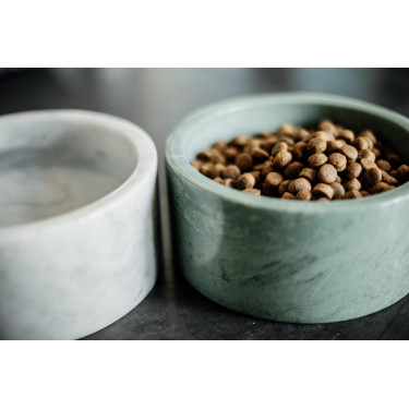 Gamelle pour chien Marbre Kentucky Vert sapin