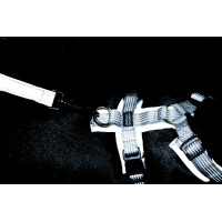 Actief Reflecterend Hondenharnas Kentucky Zilver