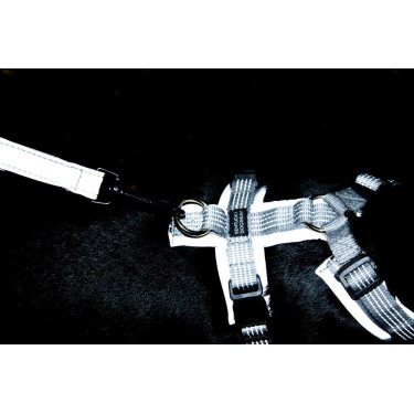 Harnais pour chien Active Reflective Kentucky Argent