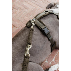 Harnais pour chien Active Teddy Fleece Kentucky Vert sapin
