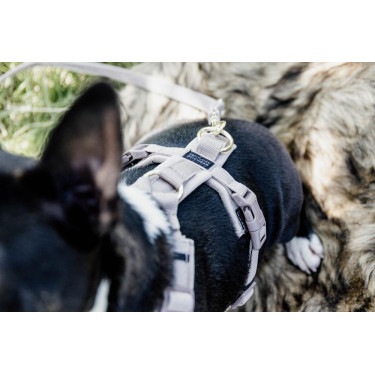 Harnas voor honden Active Velvet Kentucky Harnas voor honden Active Velvet Kentucky
