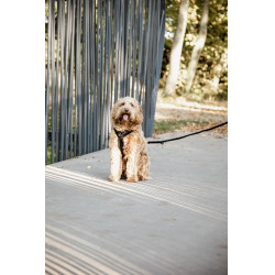 Harnas voor honden Active Velvet Kentucky Zwart Harnas voor honden Active Velvet Kentucky Zwart