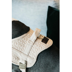 Harnais pour chien Body Safe Wool Kentucky Beige