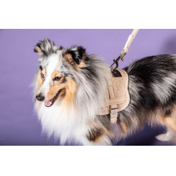 Harnais pour chien Body Safe Wool Kentucky Beige