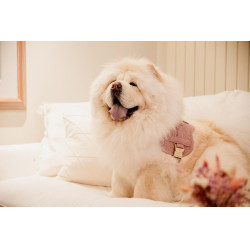Harnas voor honden Body Safe Wool Kentucky Lichtroze